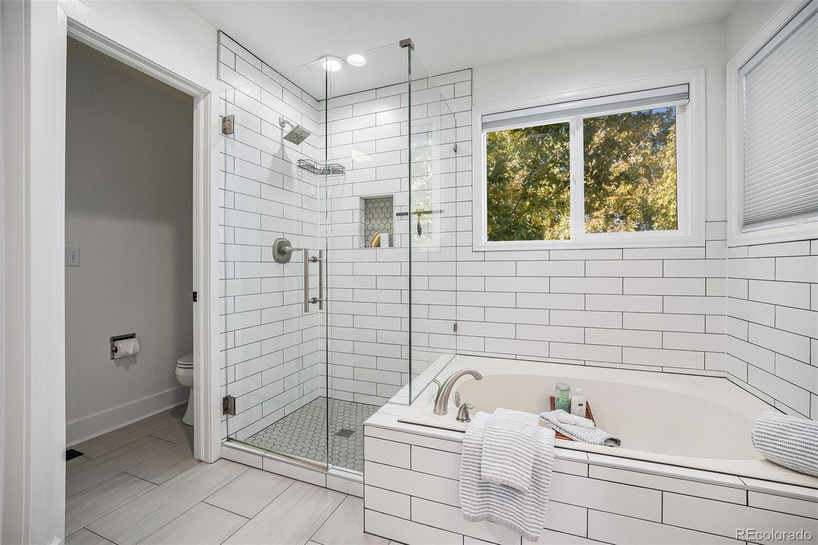MLS Image #22 for 2841  high cliffe place,highlands ranch, Colorado