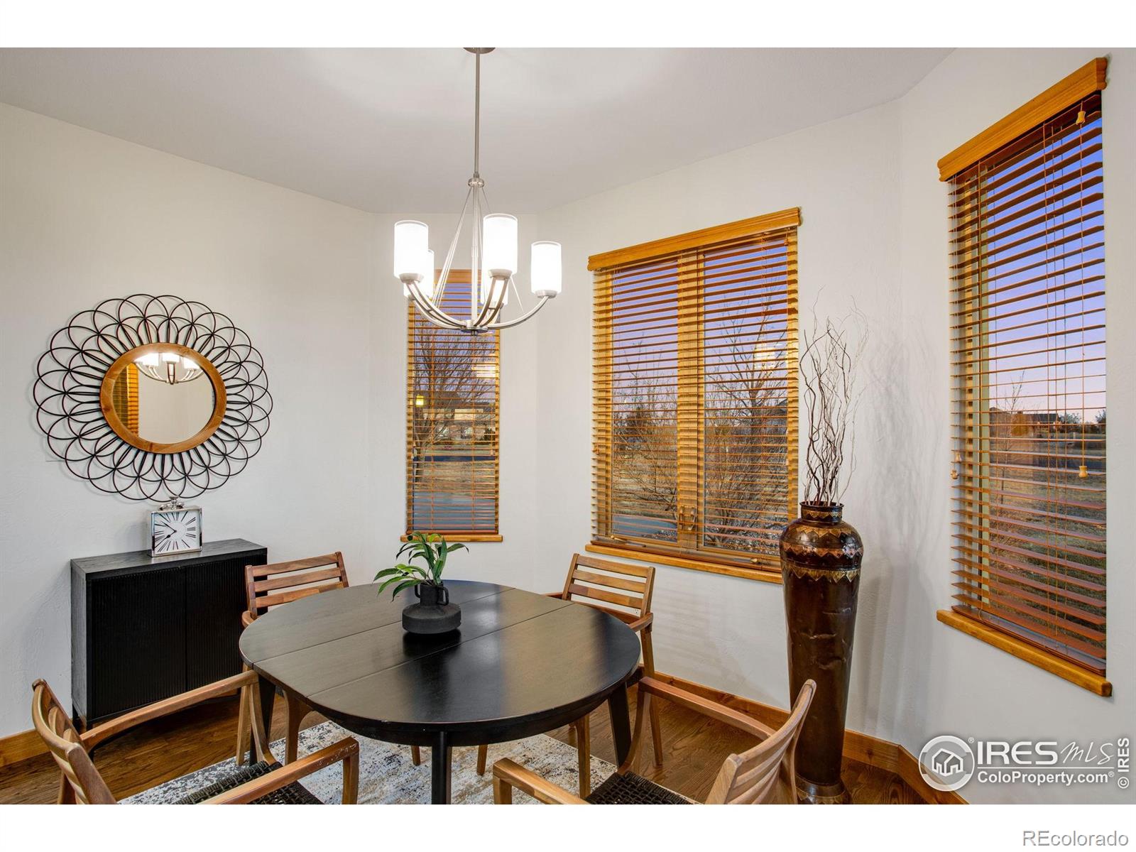 MLS Image #12 for 37127  soaring eagle circle,severance, Colorado