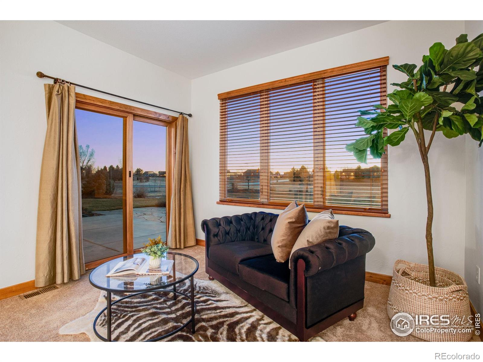 MLS Image #19 for 37127  soaring eagle circle,severance, Colorado