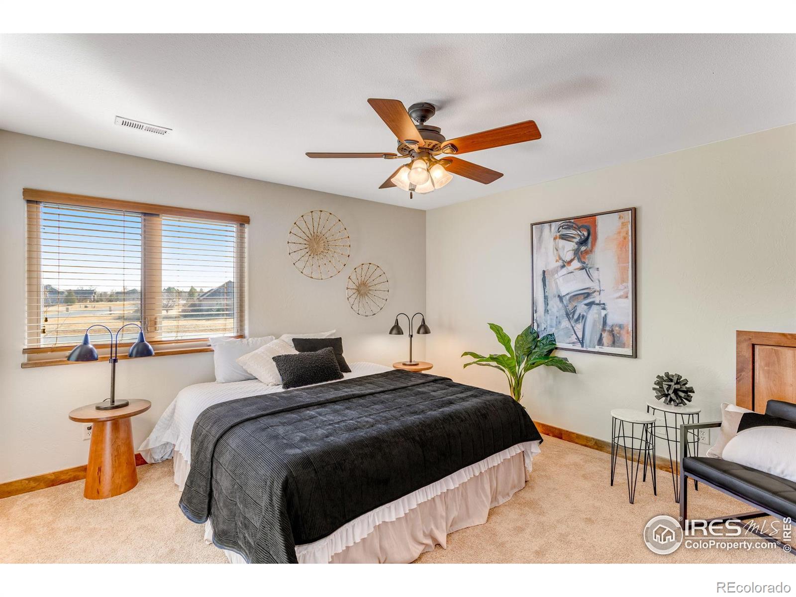 MLS Image #26 for 37127  soaring eagle circle,severance, Colorado