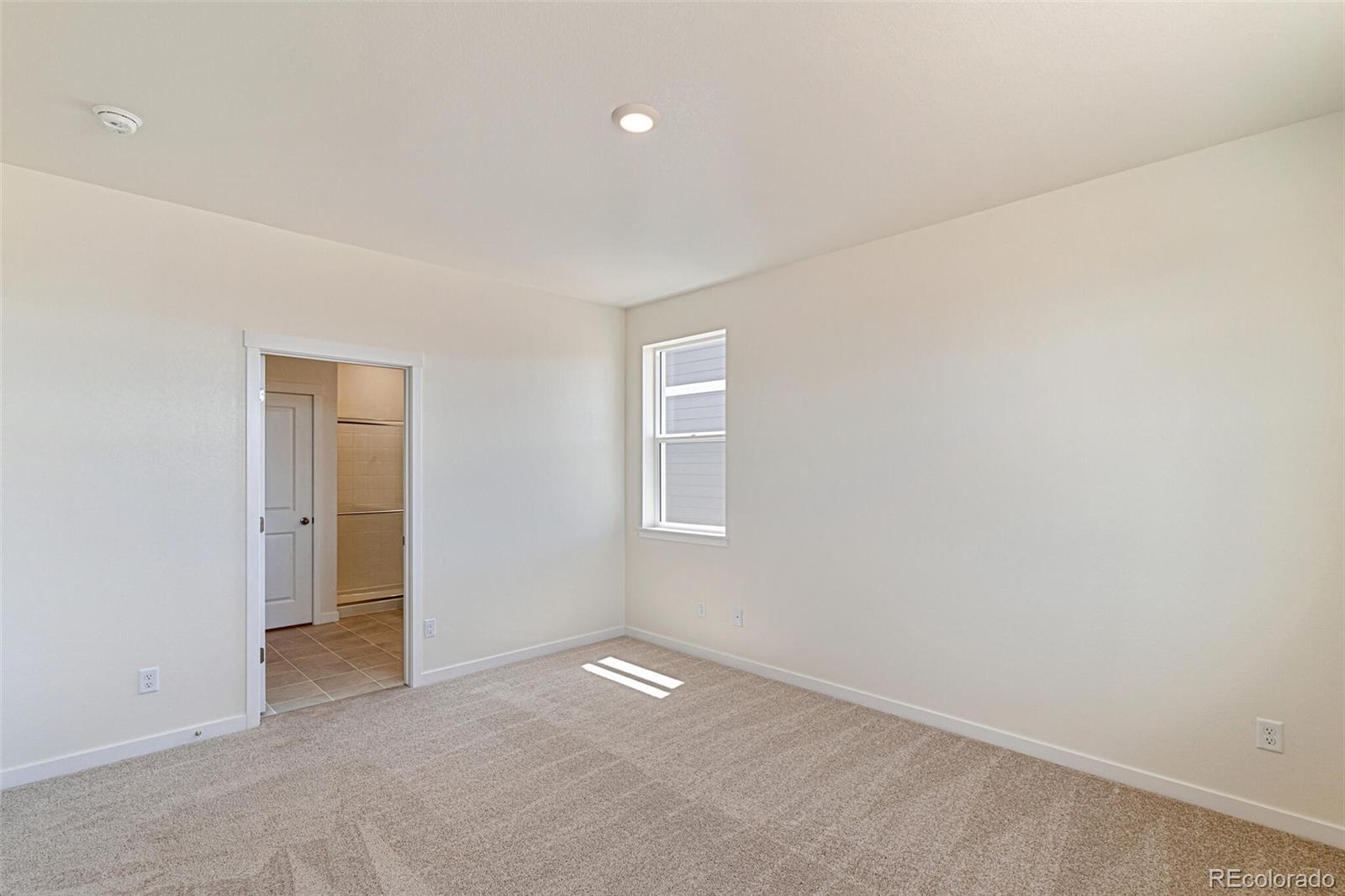 MLS Image #17 for 1037  brink street,lochbuie, Colorado