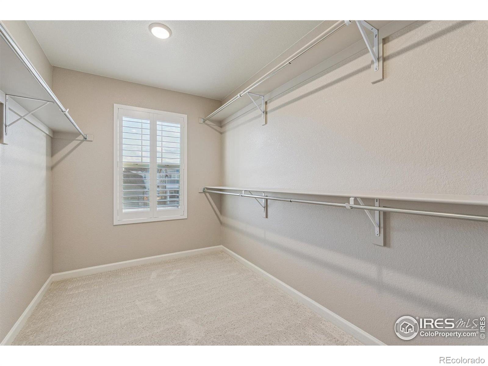 MLS Image #16 for 737  gold hill drive,erie, Colorado