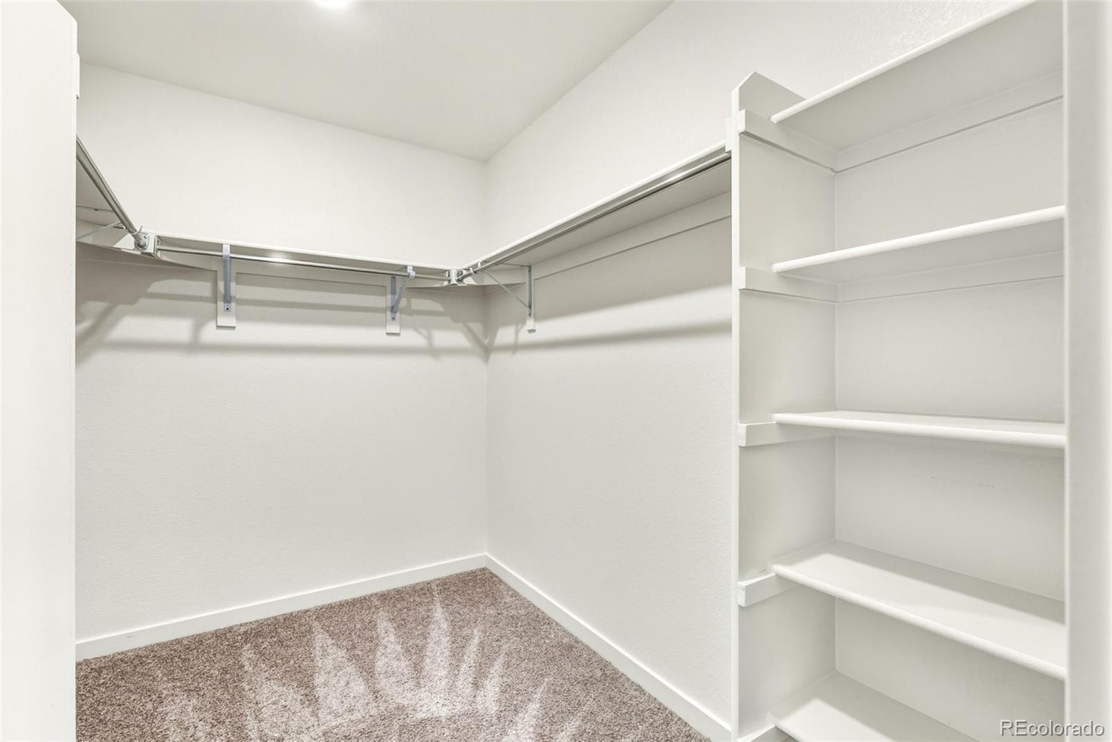 MLS Image #19 for 2153  fiadore trail,castle rock, Colorado