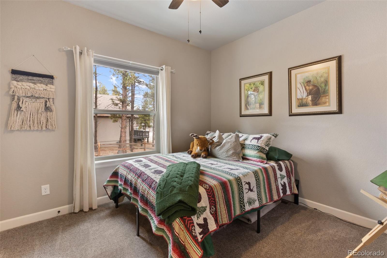 MLS Image #19 for 1326  firestone drive,woodland park, Colorado