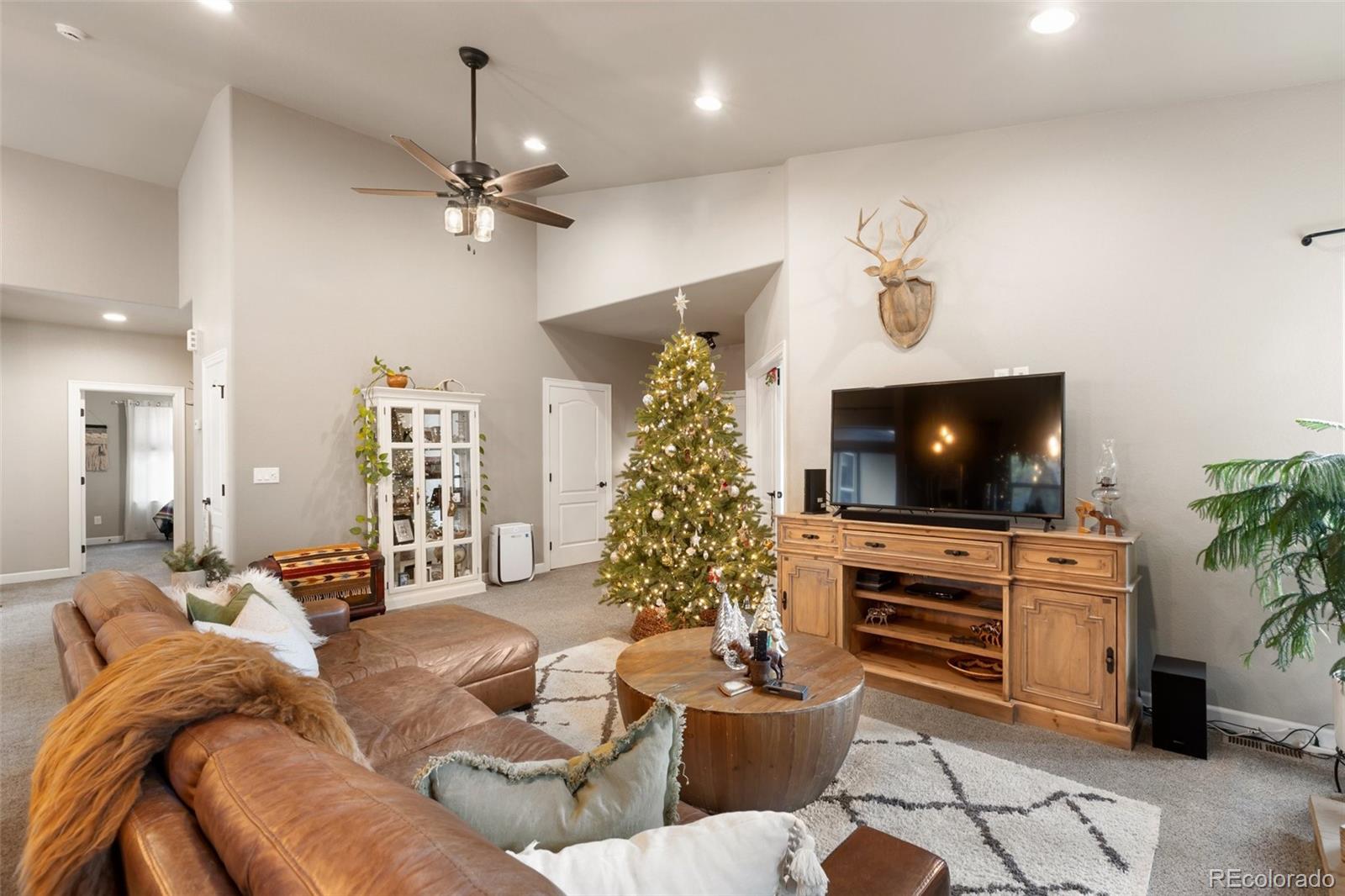 MLS Image #3 for 1326  firestone drive,woodland park, Colorado