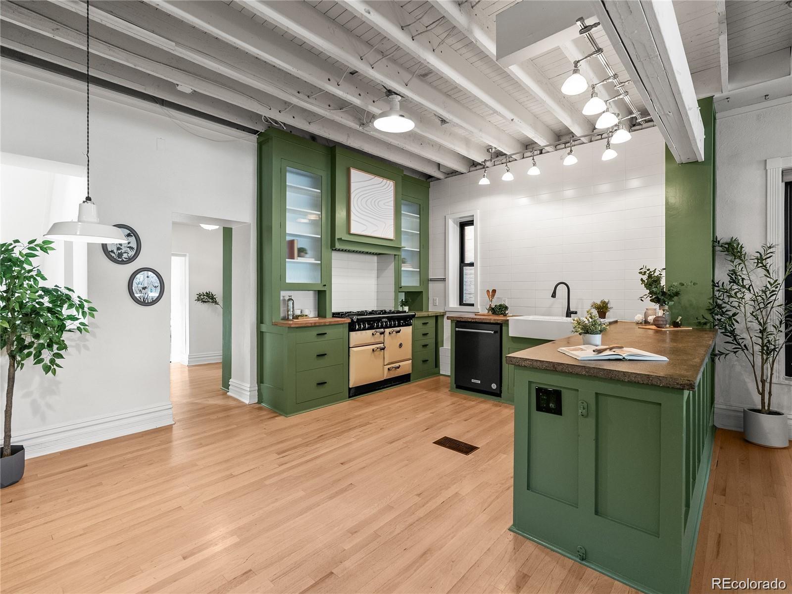 MLS Image #11 for 1860  race street,denver, Colorado
