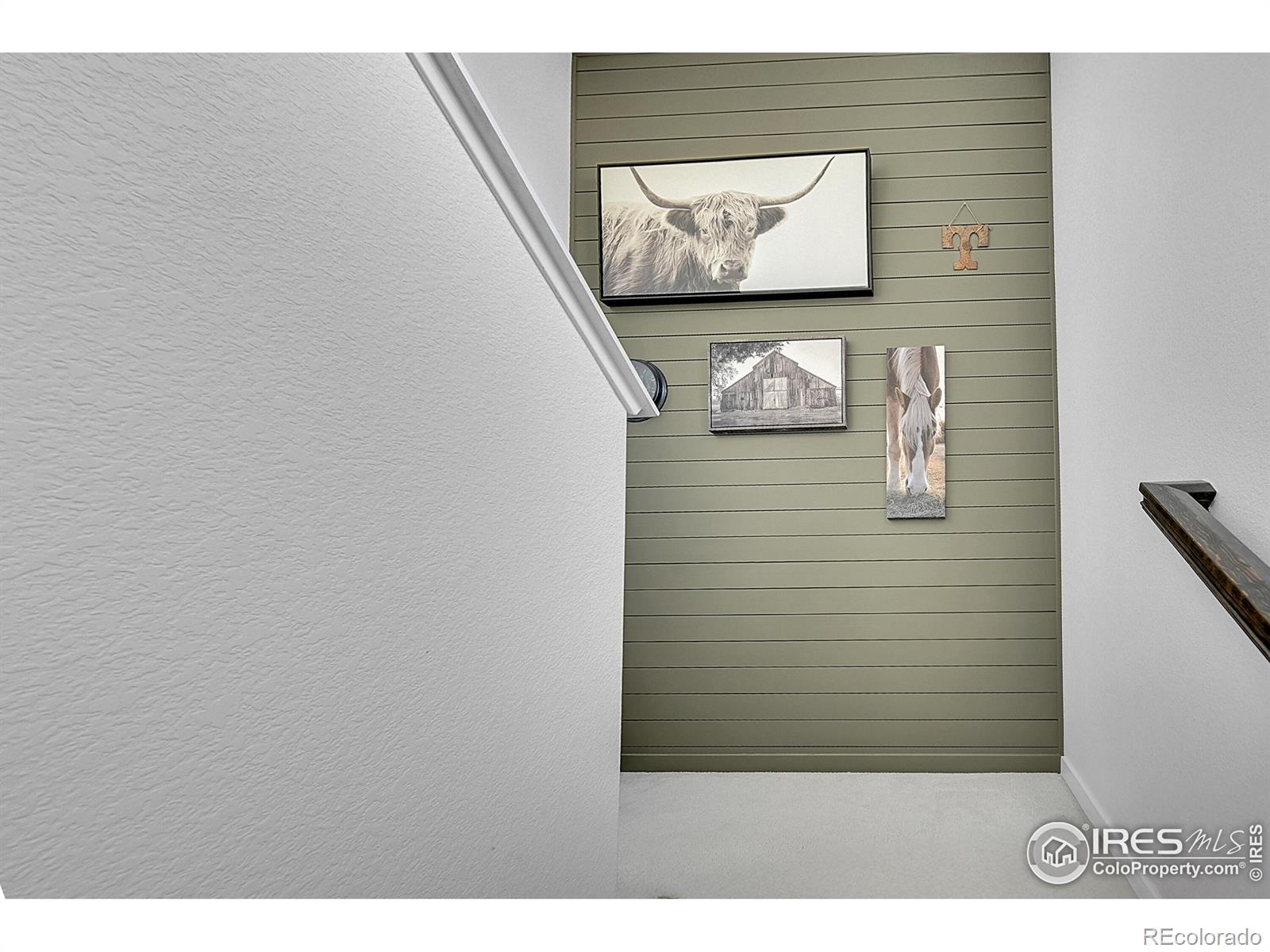 MLS Image #13 for 731  176th avenue,broomfield, Colorado