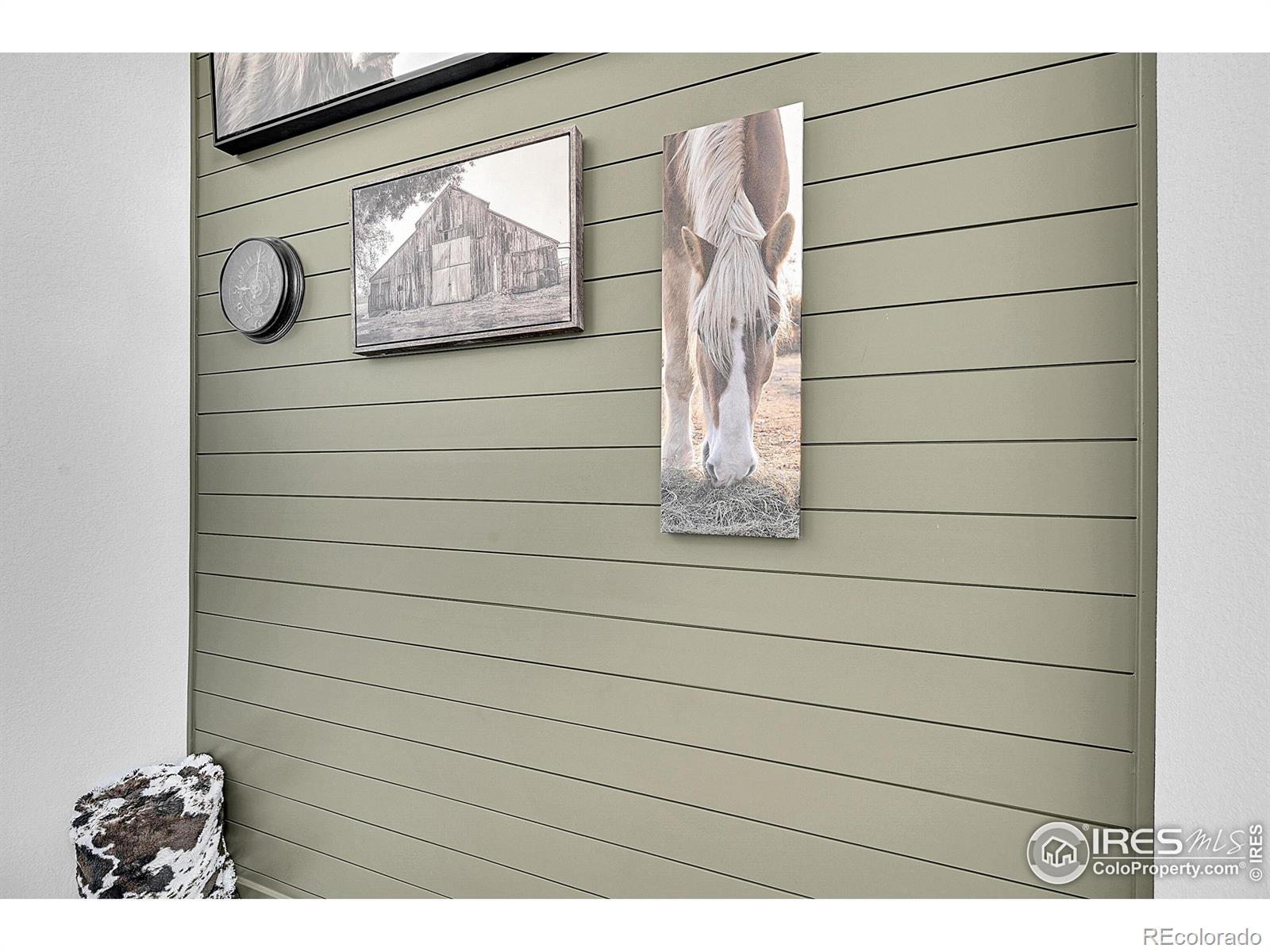 MLS Image #14 for 731  176th avenue,broomfield, Colorado