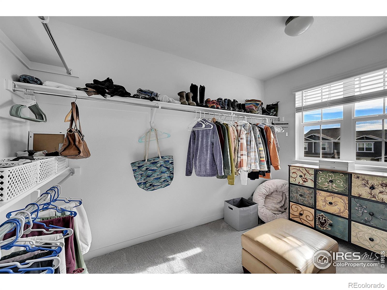 MLS Image #17 for 731  176th avenue,broomfield, Colorado