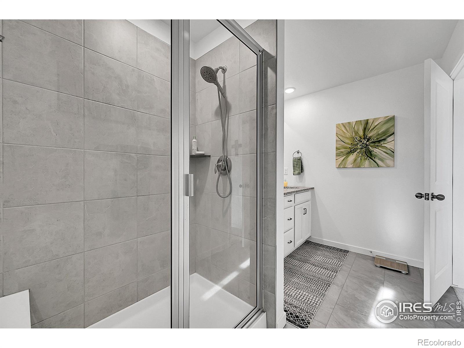 MLS Image #22 for 731  176th avenue,broomfield, Colorado