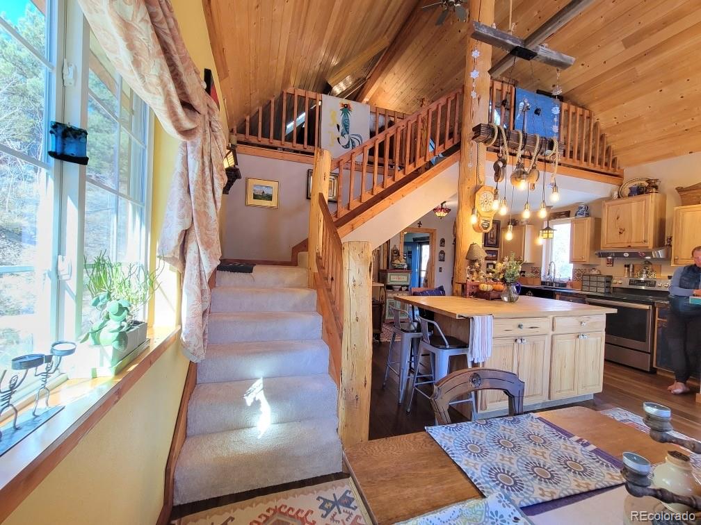 MLS Image #15 for 198  cr 26 ,twin lakes, Colorado