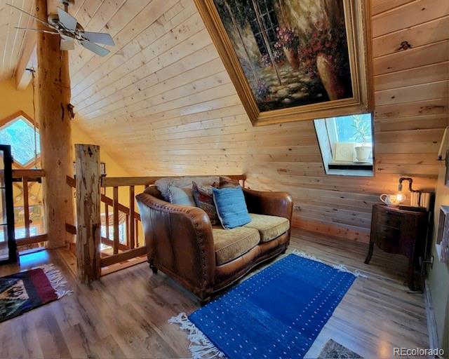 MLS Image #18 for 198  cr 26 ,twin lakes, Colorado
