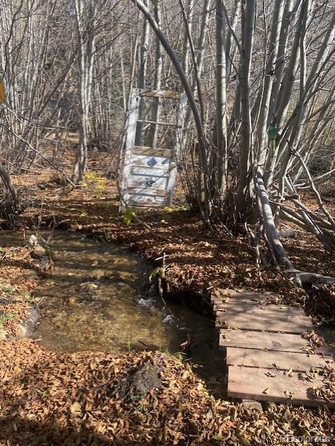 MLS Image #31 for 198  cr 26 ,twin lakes, Colorado