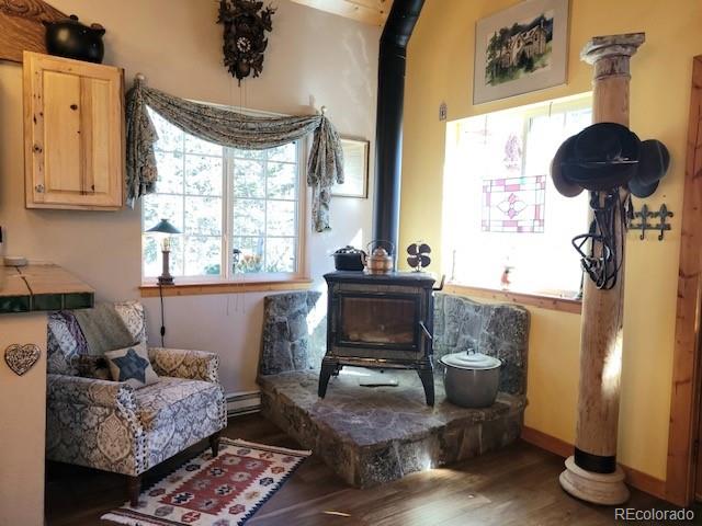 MLS Image #4 for 198  cr 26 ,twin lakes, Colorado