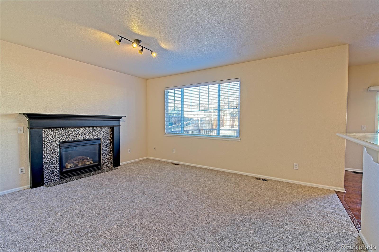 MLS Image #6 for 7418  grady circle,castle rock, Colorado