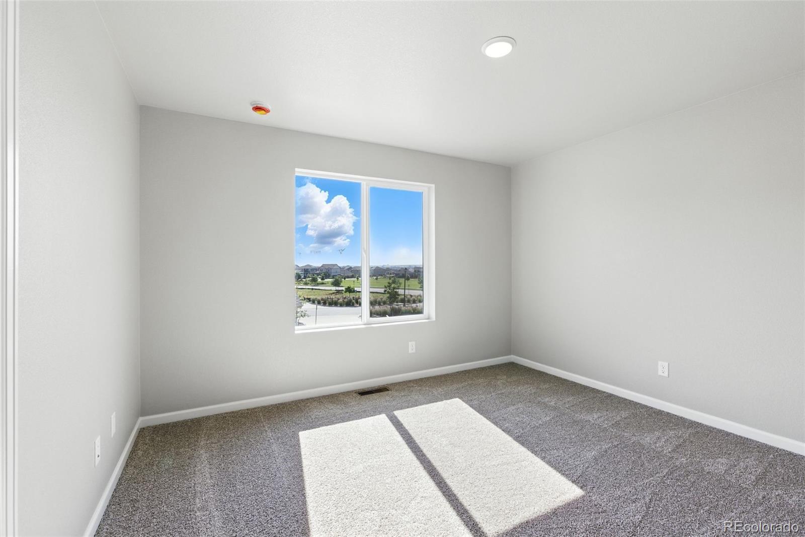 MLS Image #6 for 316  shoveler way,johnstown, Colorado