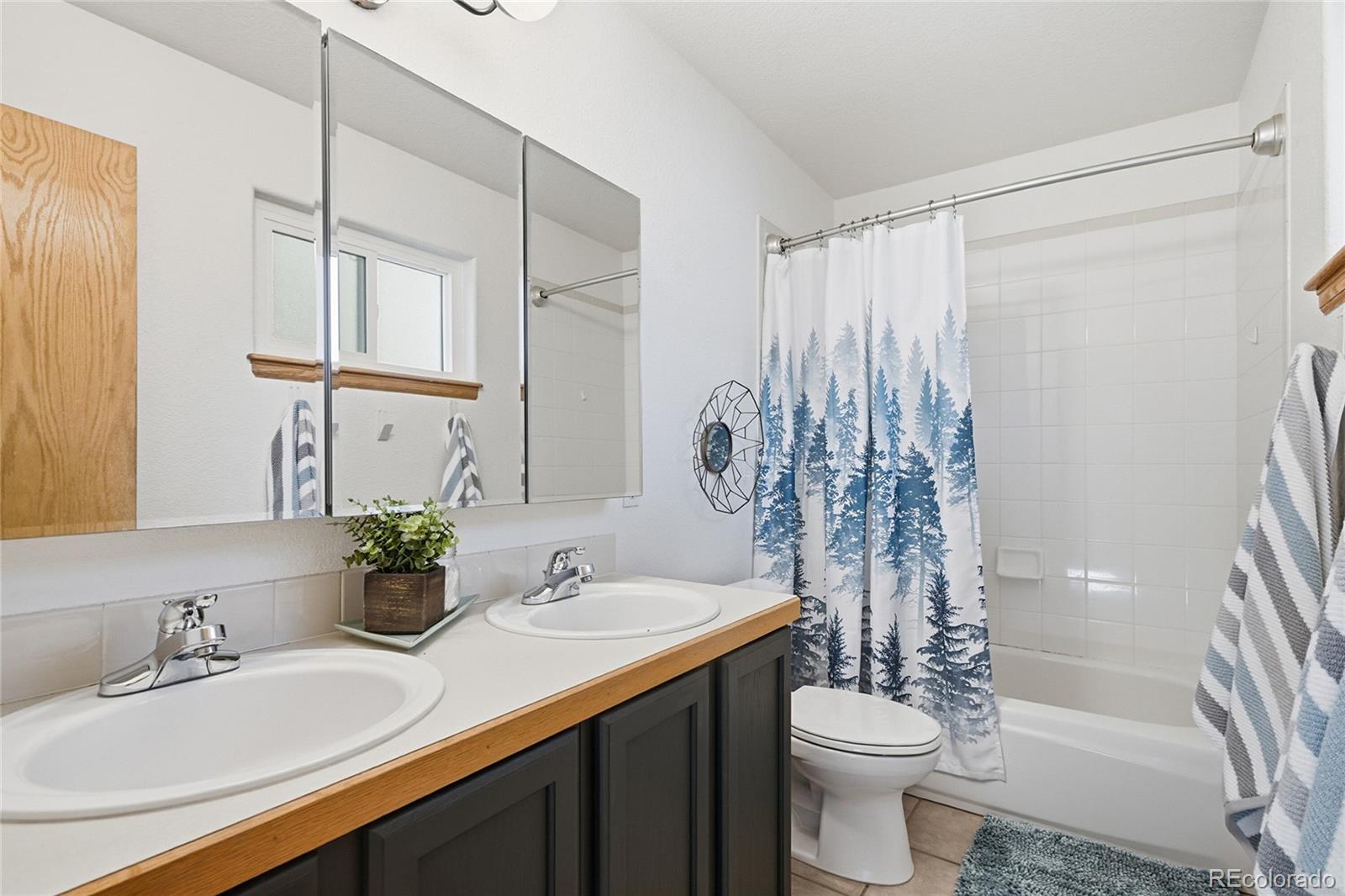 MLS Image #19 for 30243  hilltop drive,evergreen, Colorado