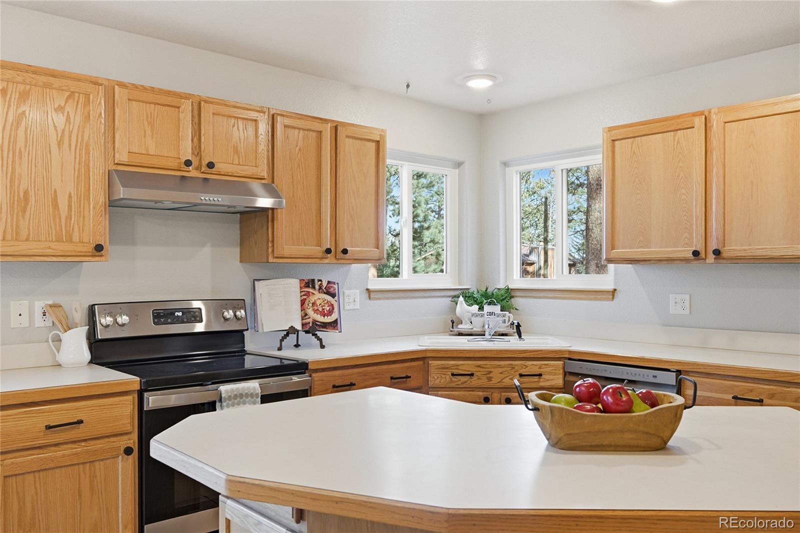 MLS Image #9 for 30243  hilltop drive,evergreen, Colorado