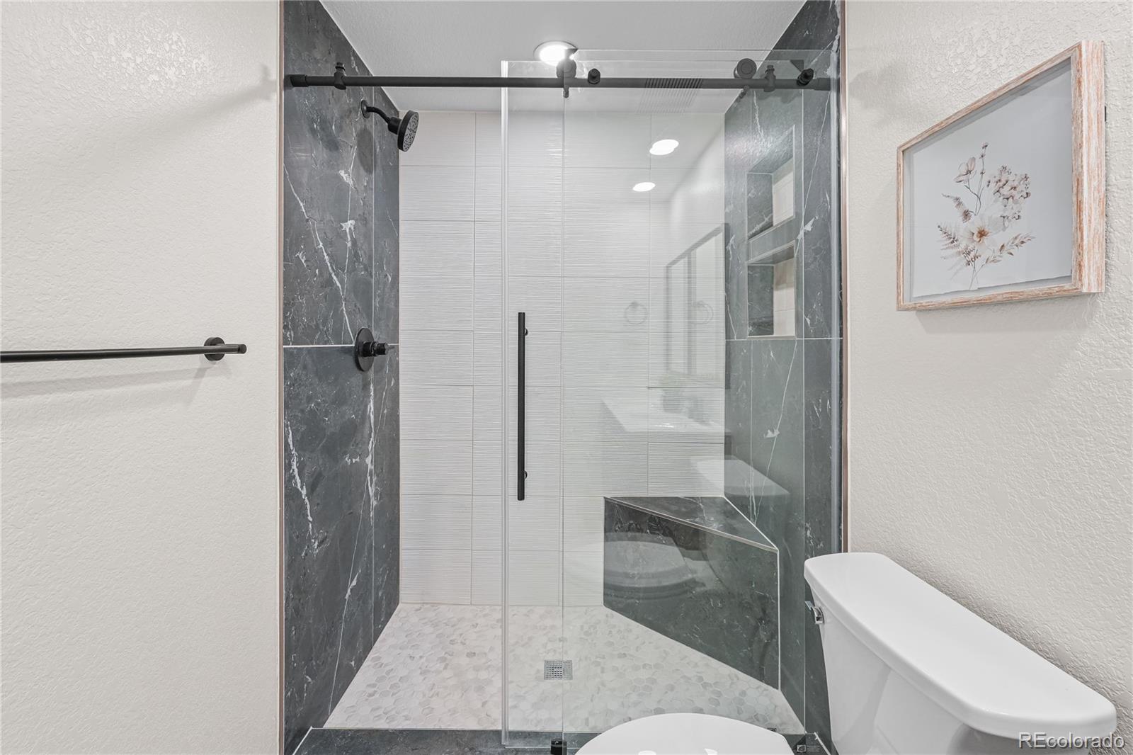 MLS Image #17 for 10523  zuni street,northglenn, Colorado