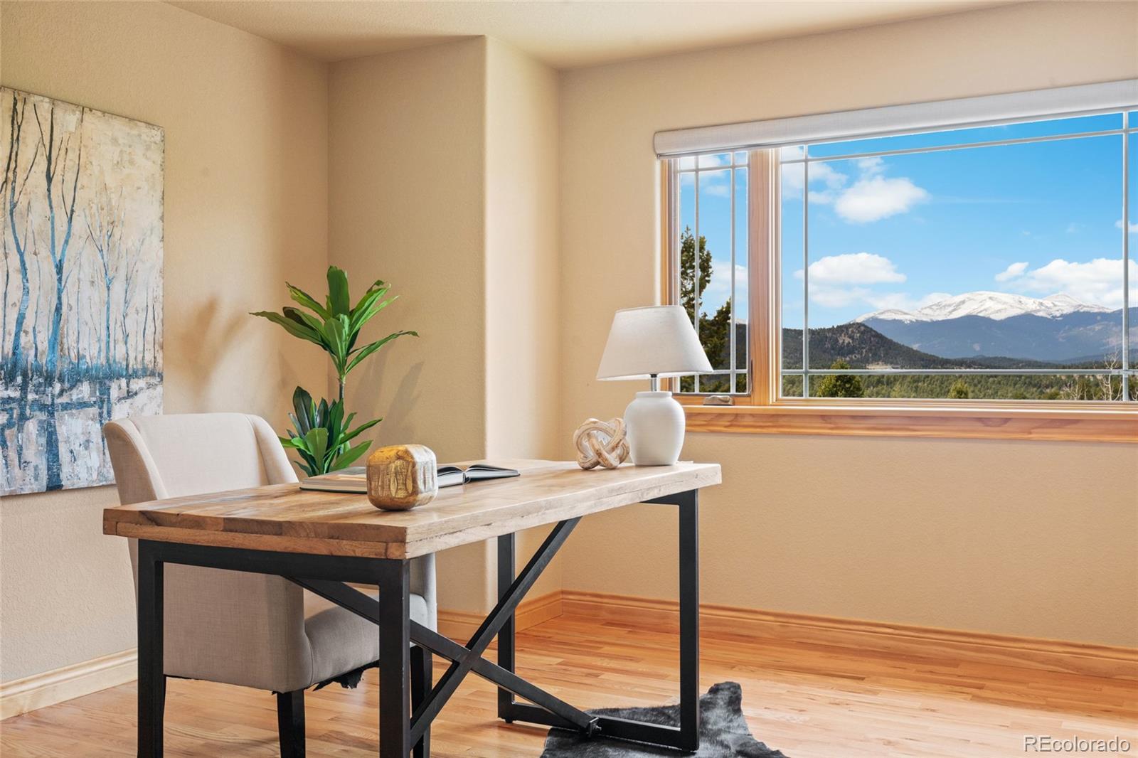 MLS Image #18 for 13909  stone chimney lane,pine, Colorado