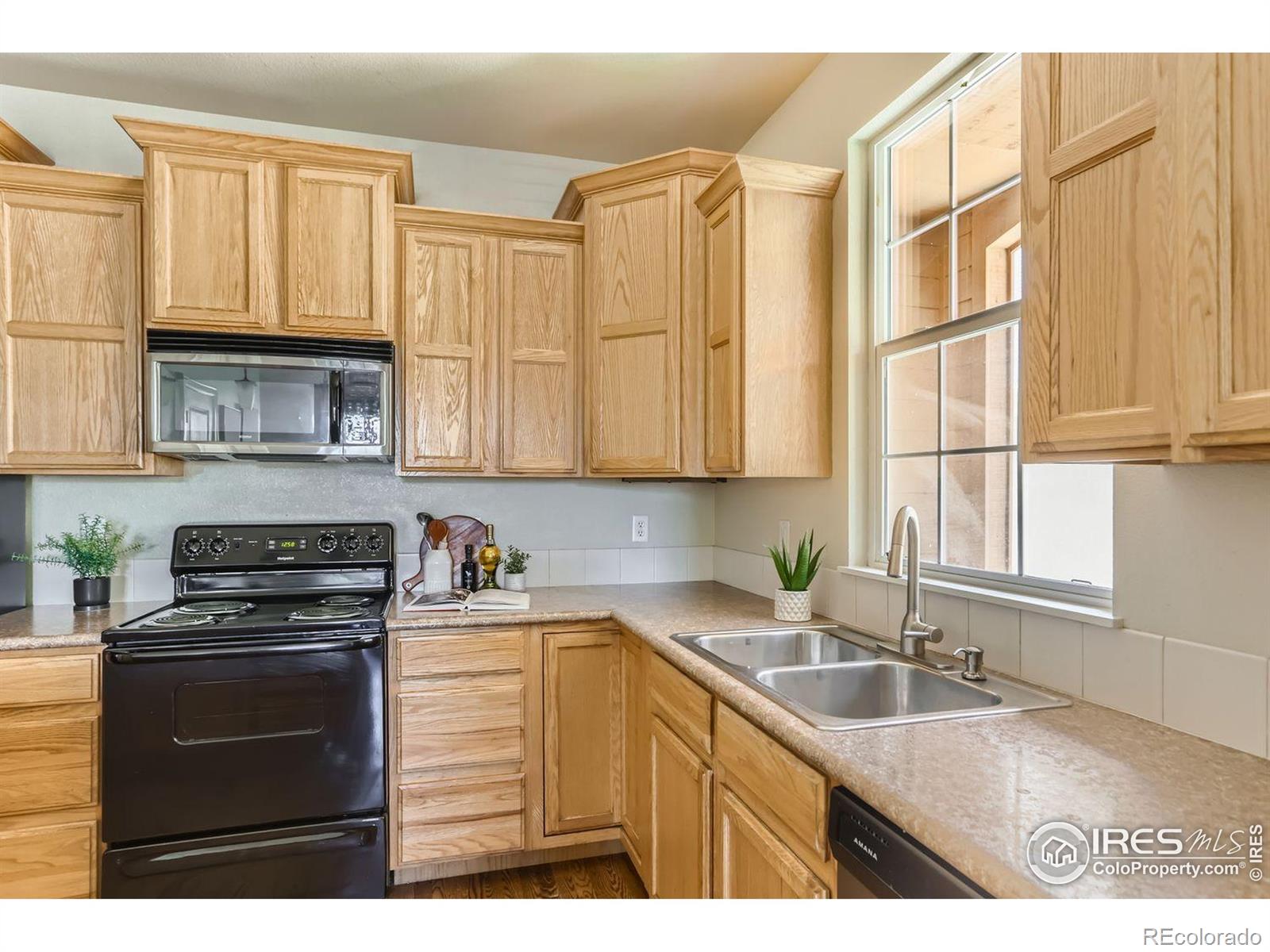 MLS Image #11 for 257  cajetan street,fort collins, Colorado