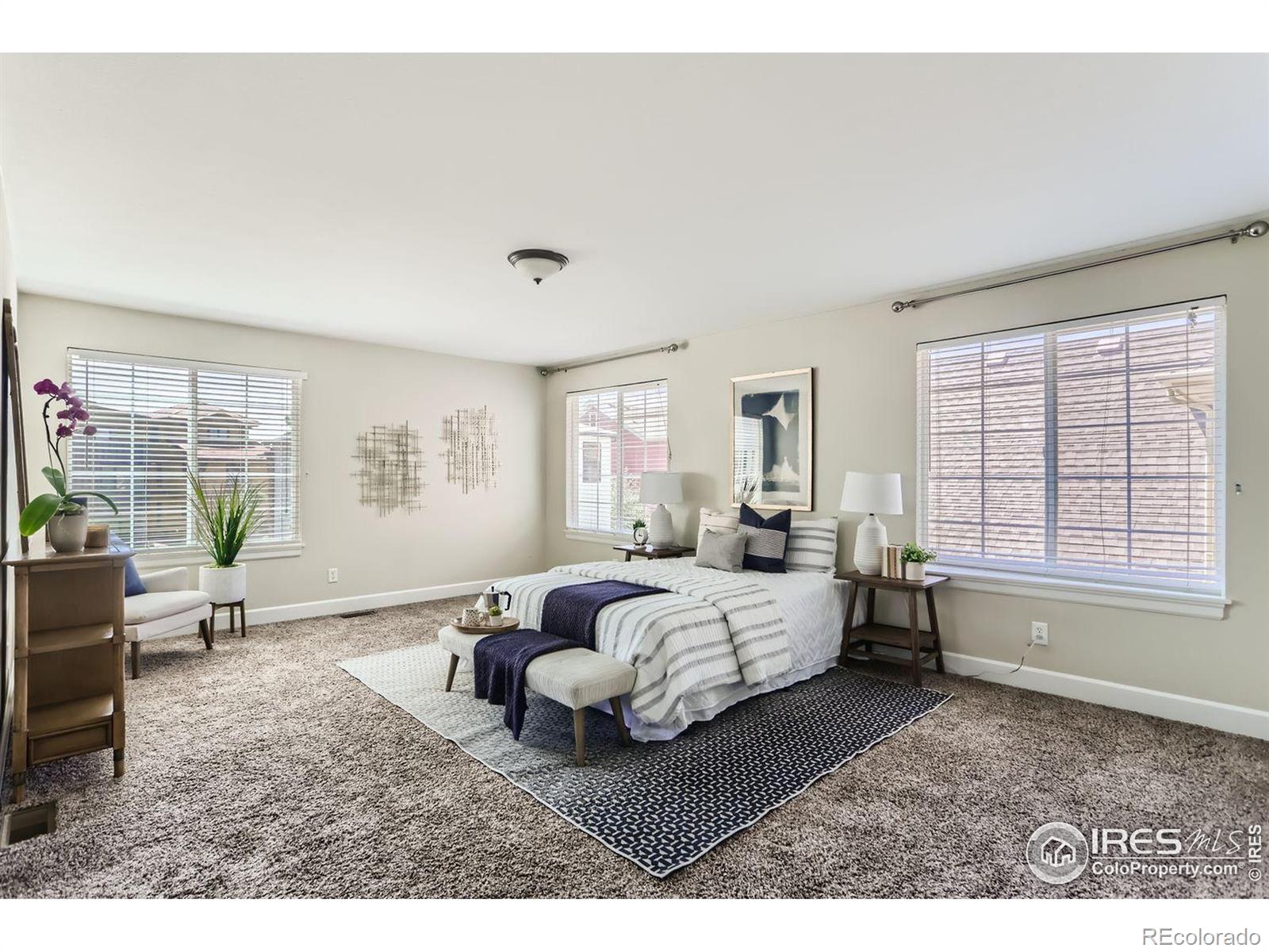 MLS Image #18 for 257  cajetan street,fort collins, Colorado