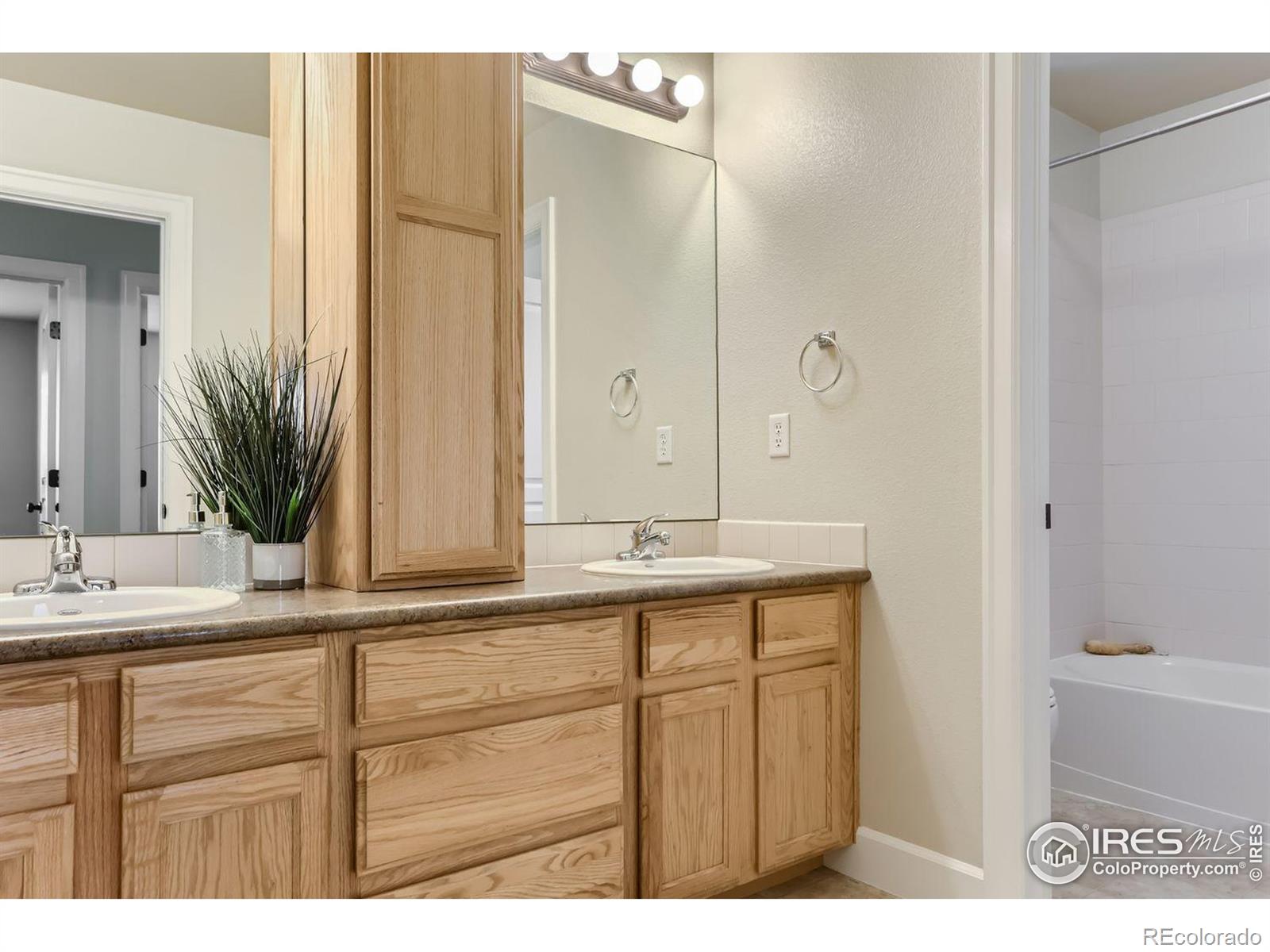 MLS Image #27 for 257  cajetan street,fort collins, Colorado