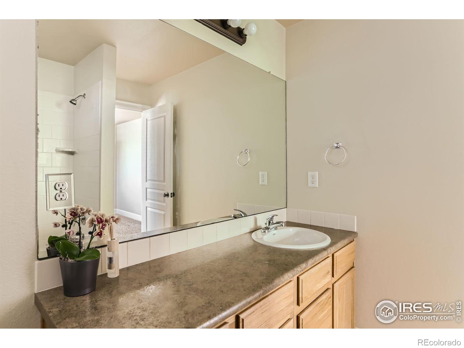 MLS Image #29 for 257  cajetan street,fort collins, Colorado