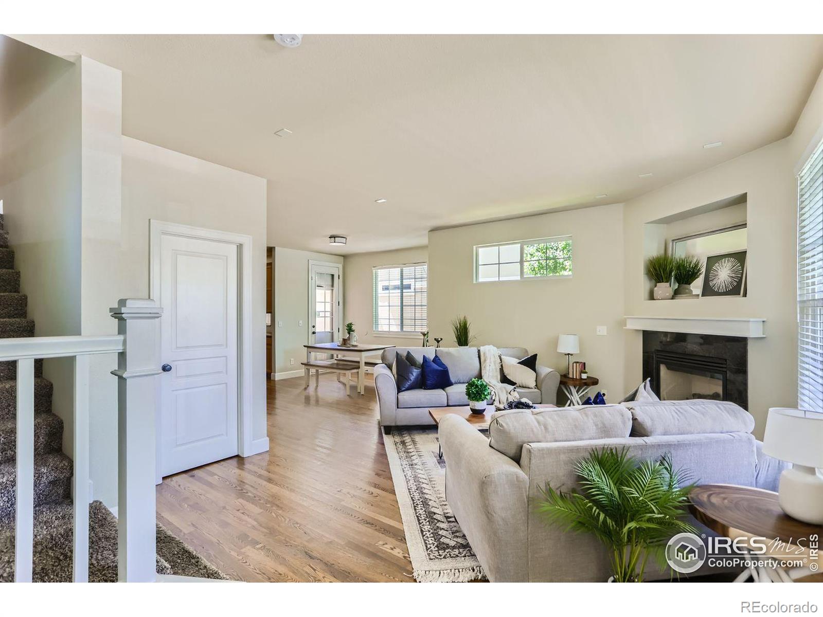 MLS Image #6 for 257  cajetan street,fort collins, Colorado