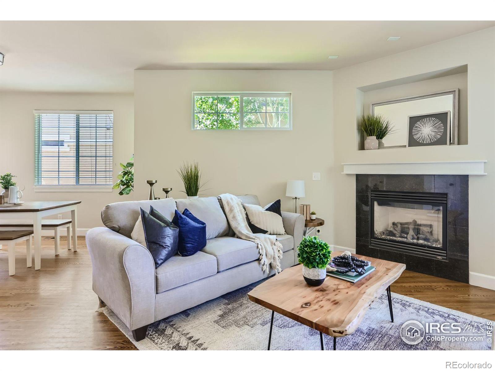 MLS Image #7 for 257  cajetan street,fort collins, Colorado