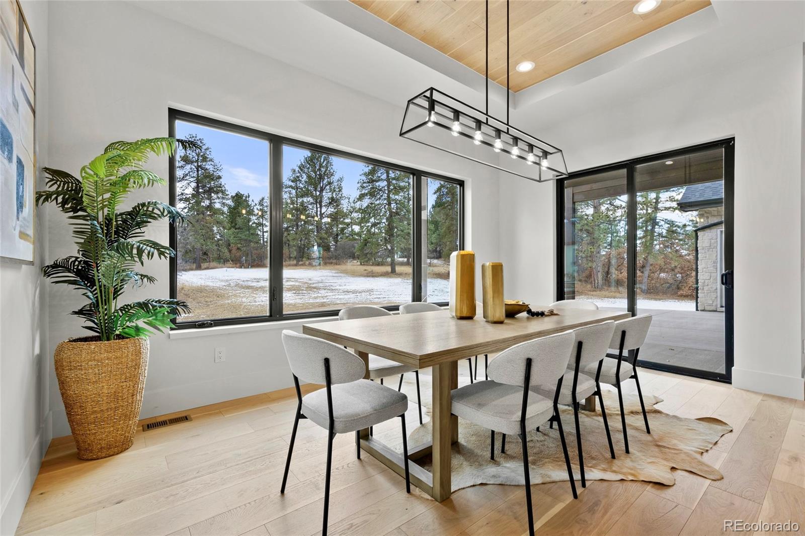 MLS Image #16 for 1561  arrowpoint court,franktown, Colorado
