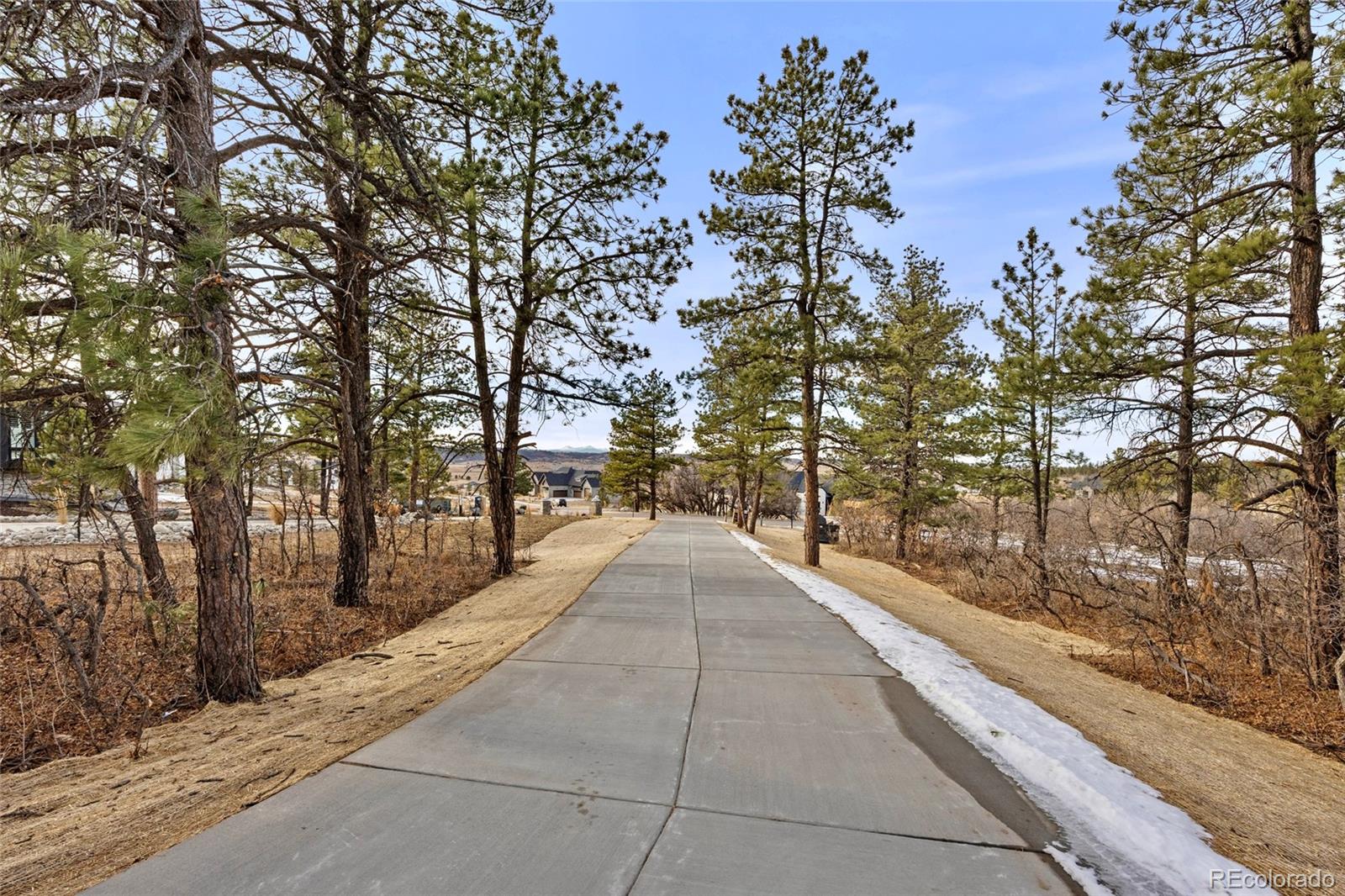 MLS Image #36 for 1561  arrowpoint court,franktown, Colorado