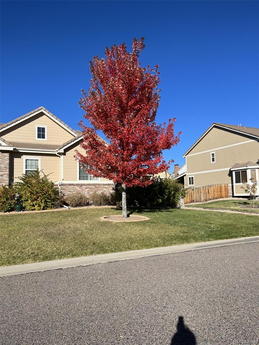 MLS Image #40 for 8483 s dudley street,littleton, Colorado