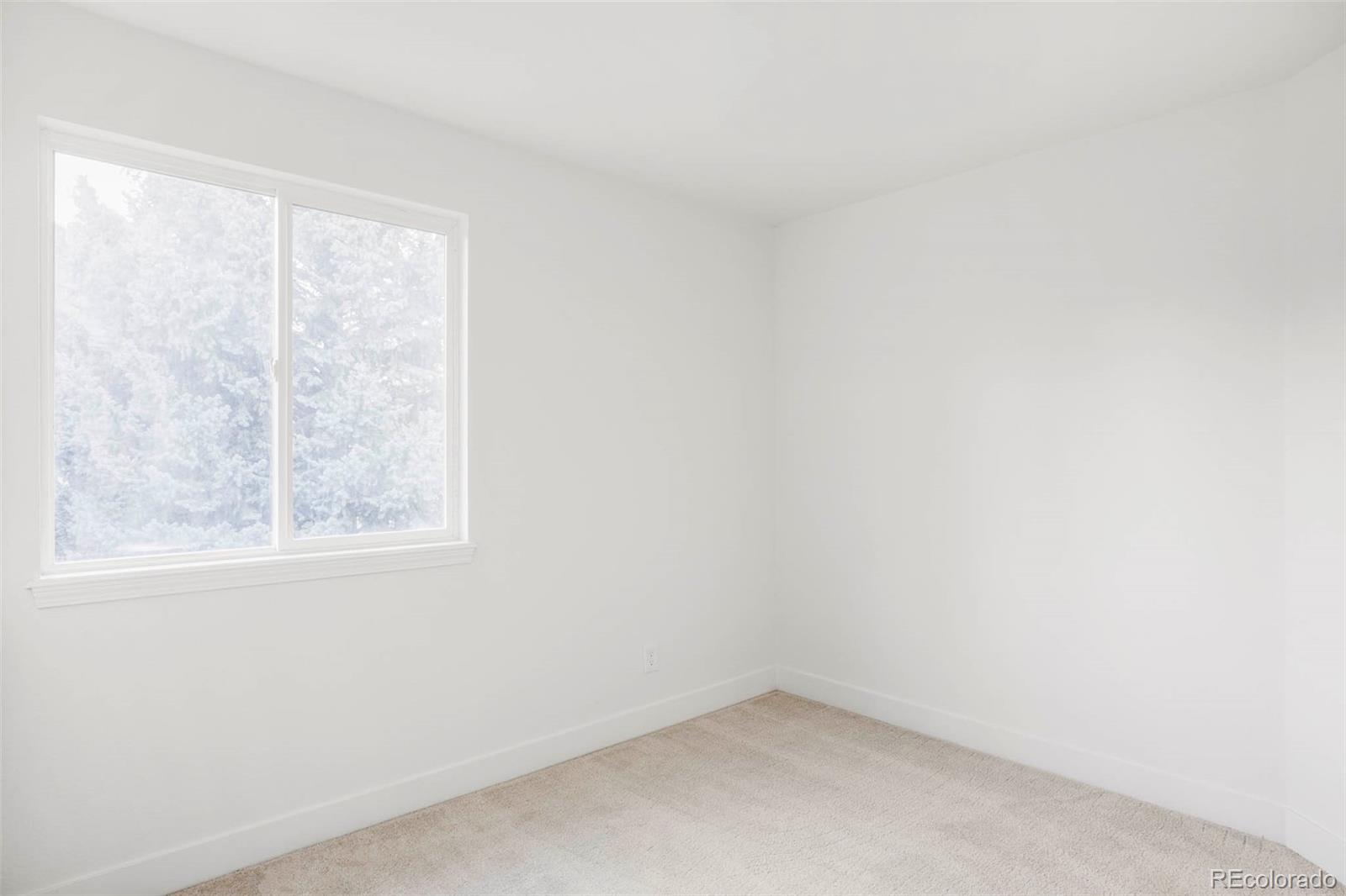 MLS Image #13 for 10499  cheetah winds ,lone tree, Colorado