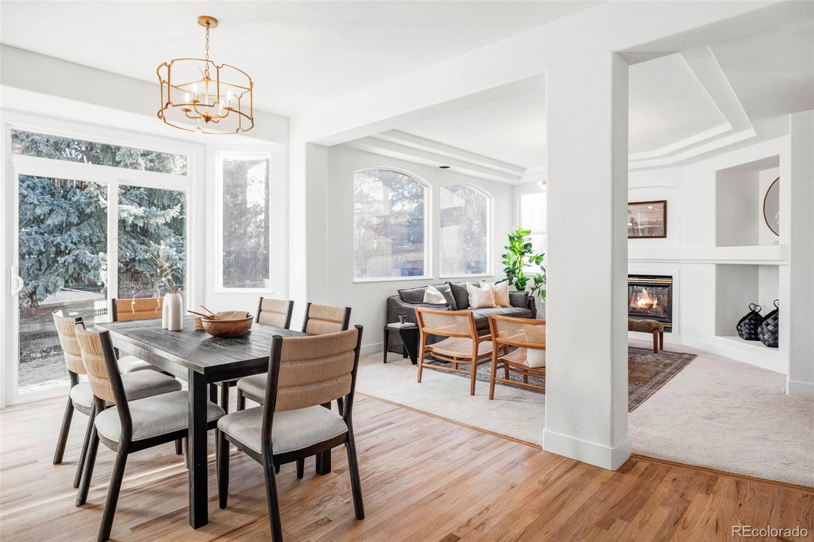 MLS Image #3 for 10499  cheetah winds ,lone tree, Colorado