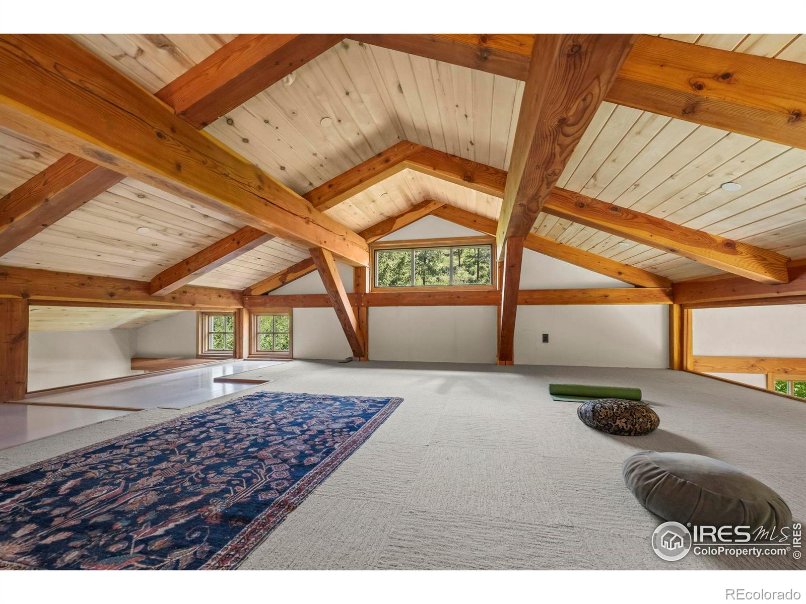 MLS Image #13 for 3360  eldorado springs drive,boulder, Colorado
