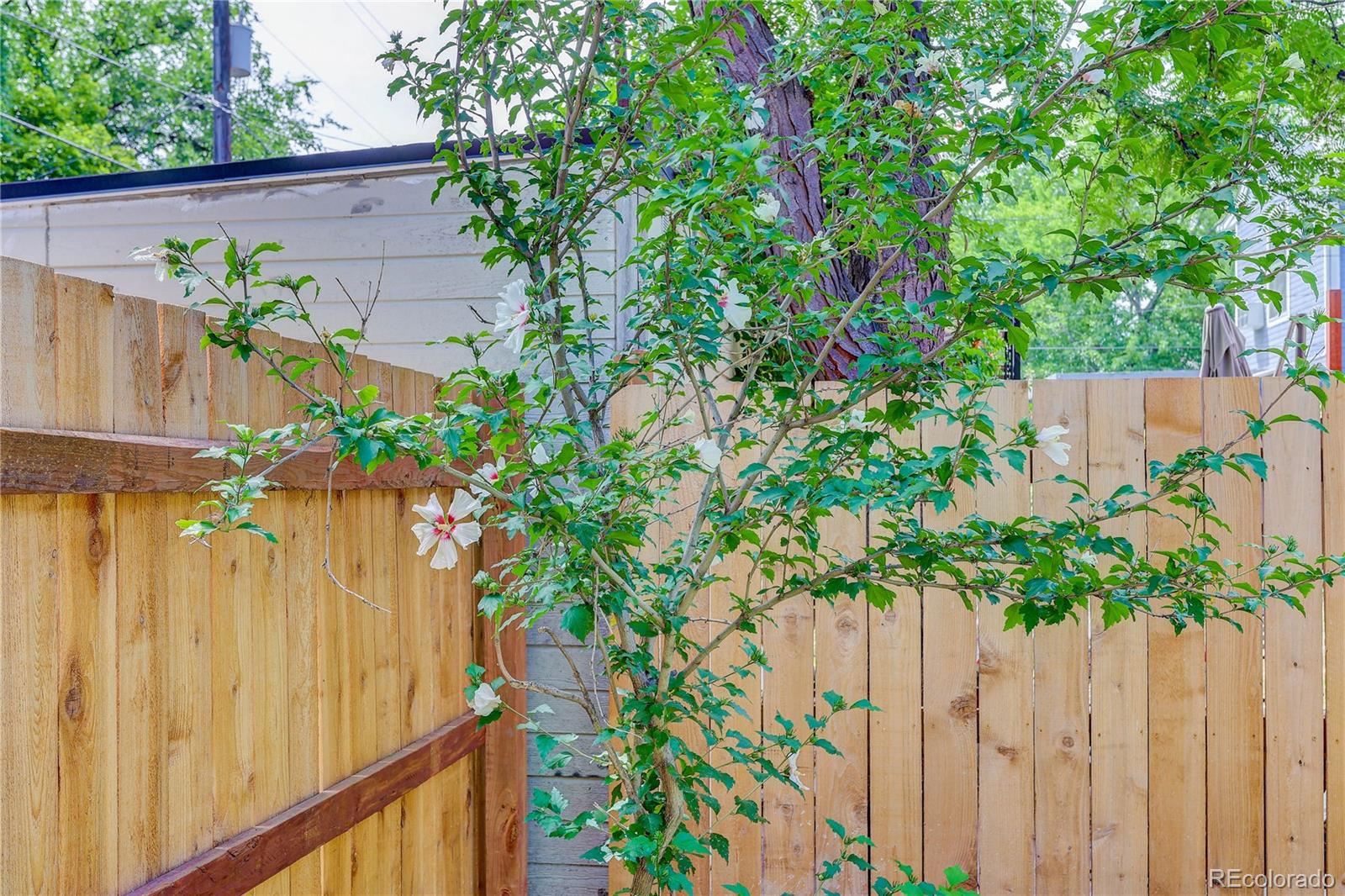 MLS Image #18 for 734 n downing street,denver, Colorado