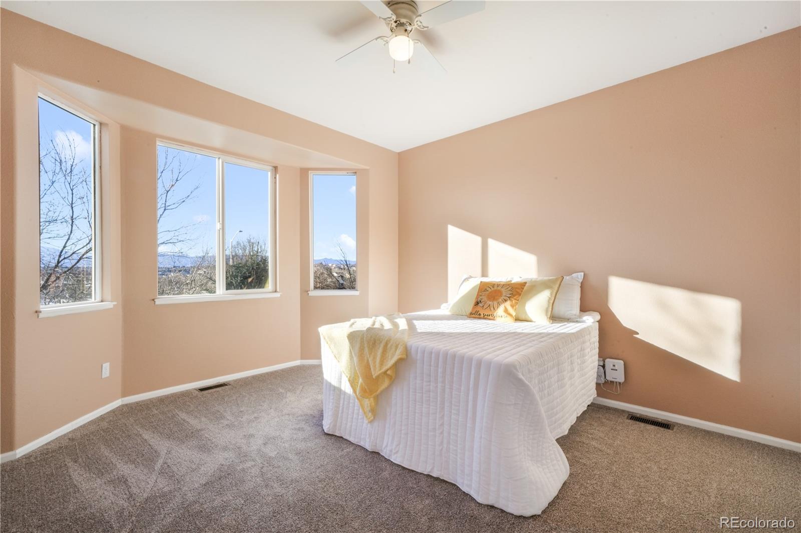 MLS Image #20 for 7170  leeside view,colorado springs, Colorado