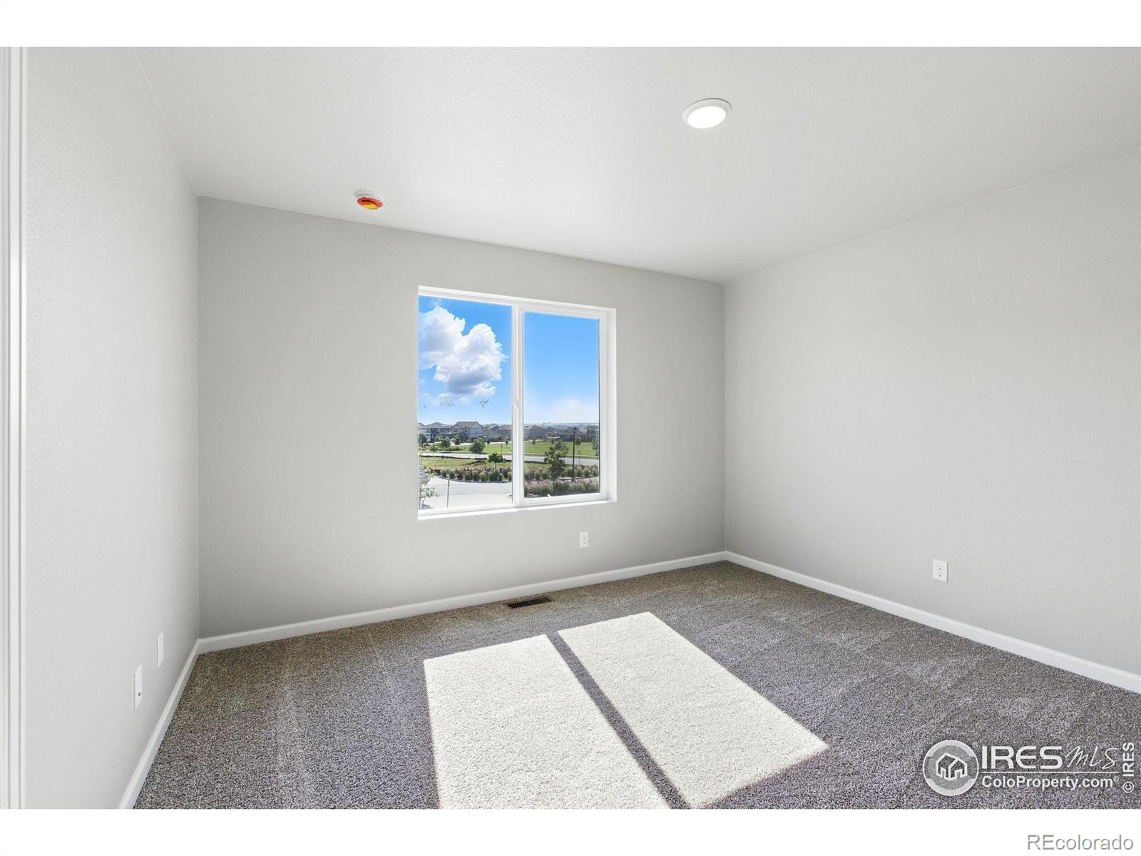 MLS Image #6 for 316  shoveler way,johnstown, Colorado