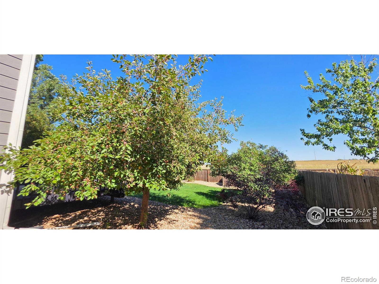 MLS Image #25 for 11392  ebony street,firestone, Colorado