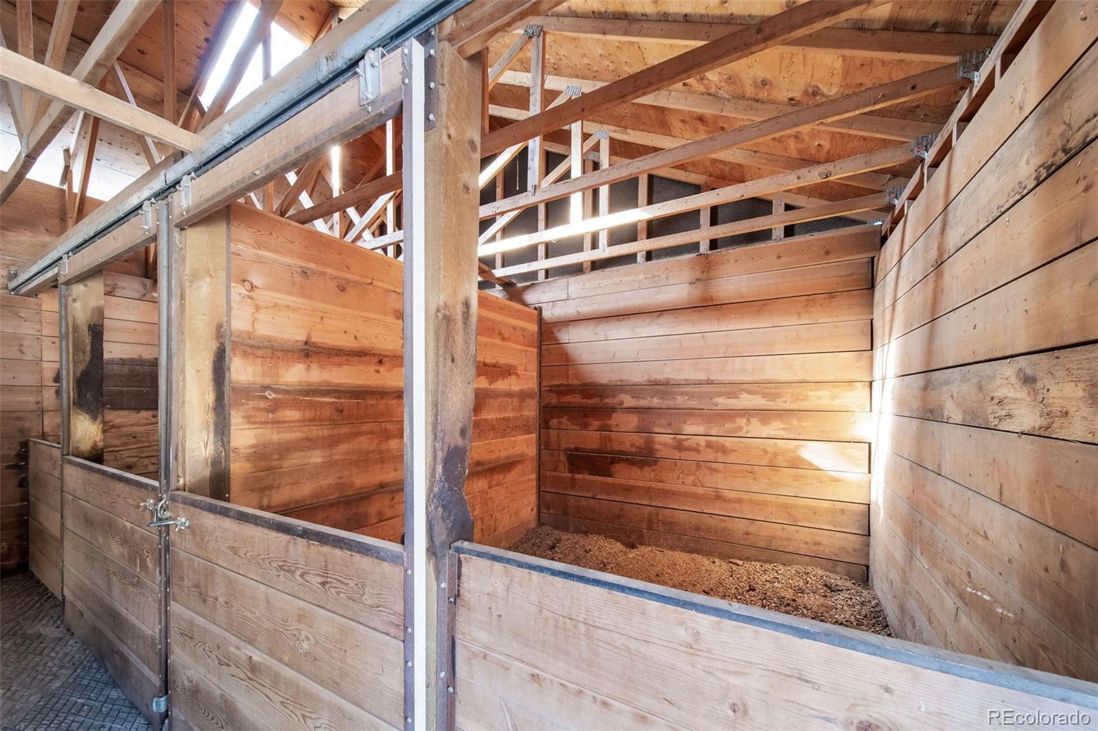 MLS Image #37 for 3454  nova road,pine, Colorado