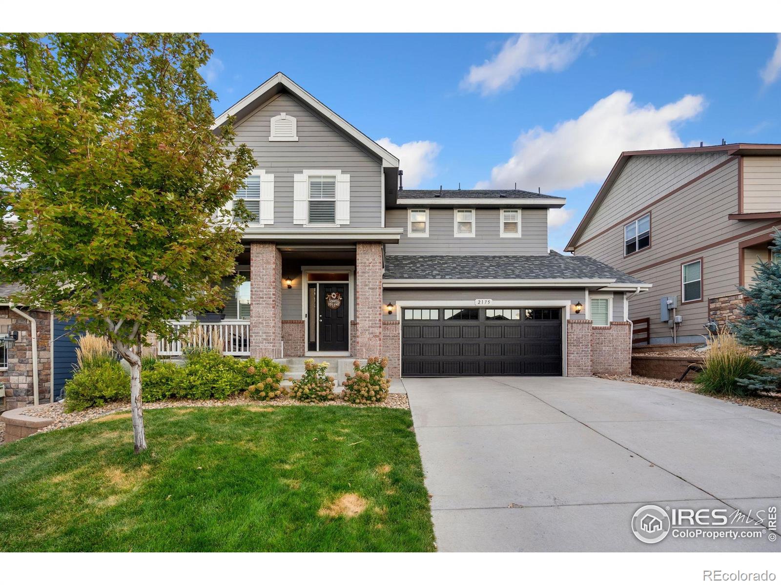 MLS Image #5 for 2175  longfin drive,windsor, Colorado