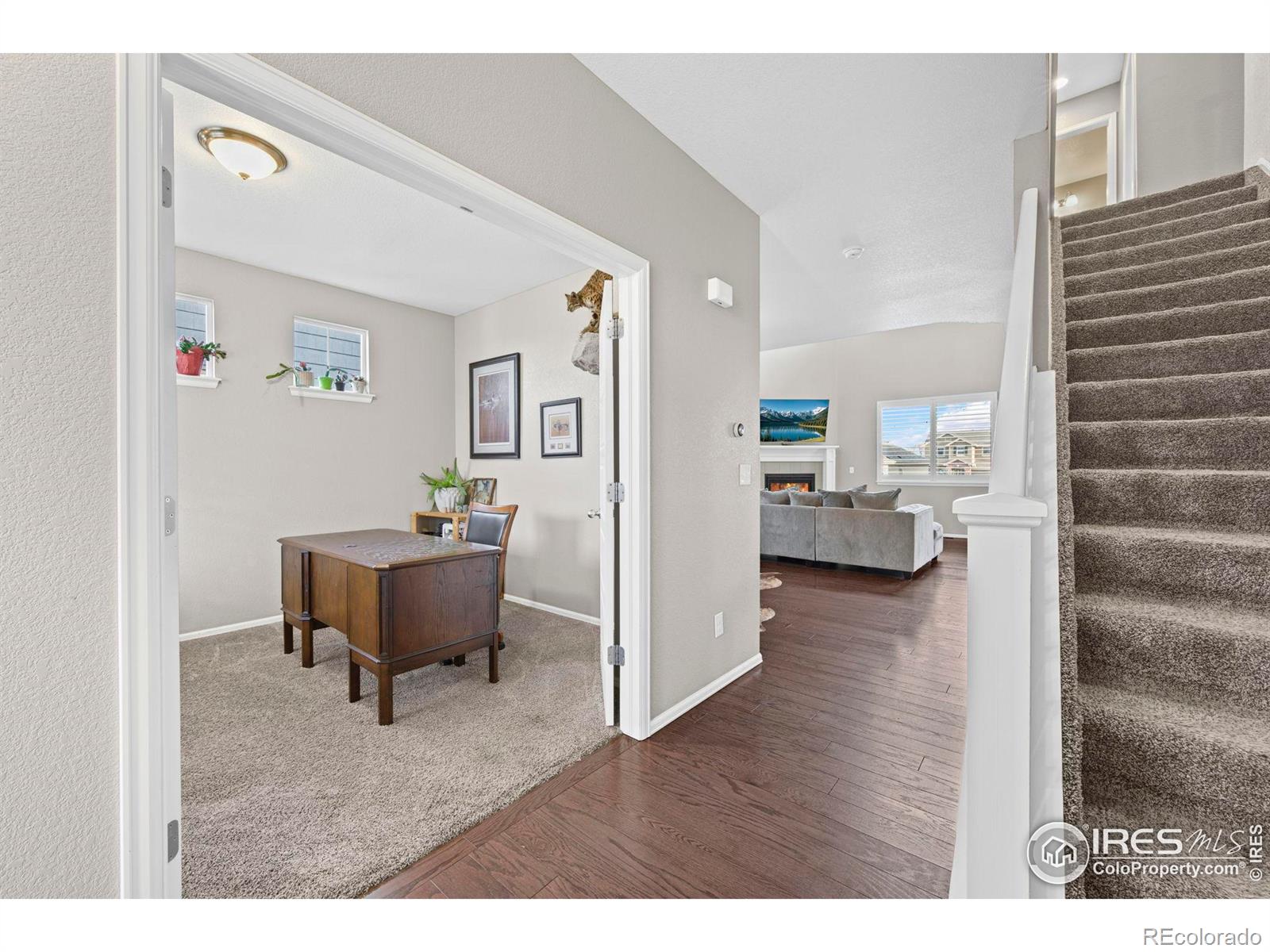 MLS Image #7 for 2175  longfin drive,windsor, Colorado