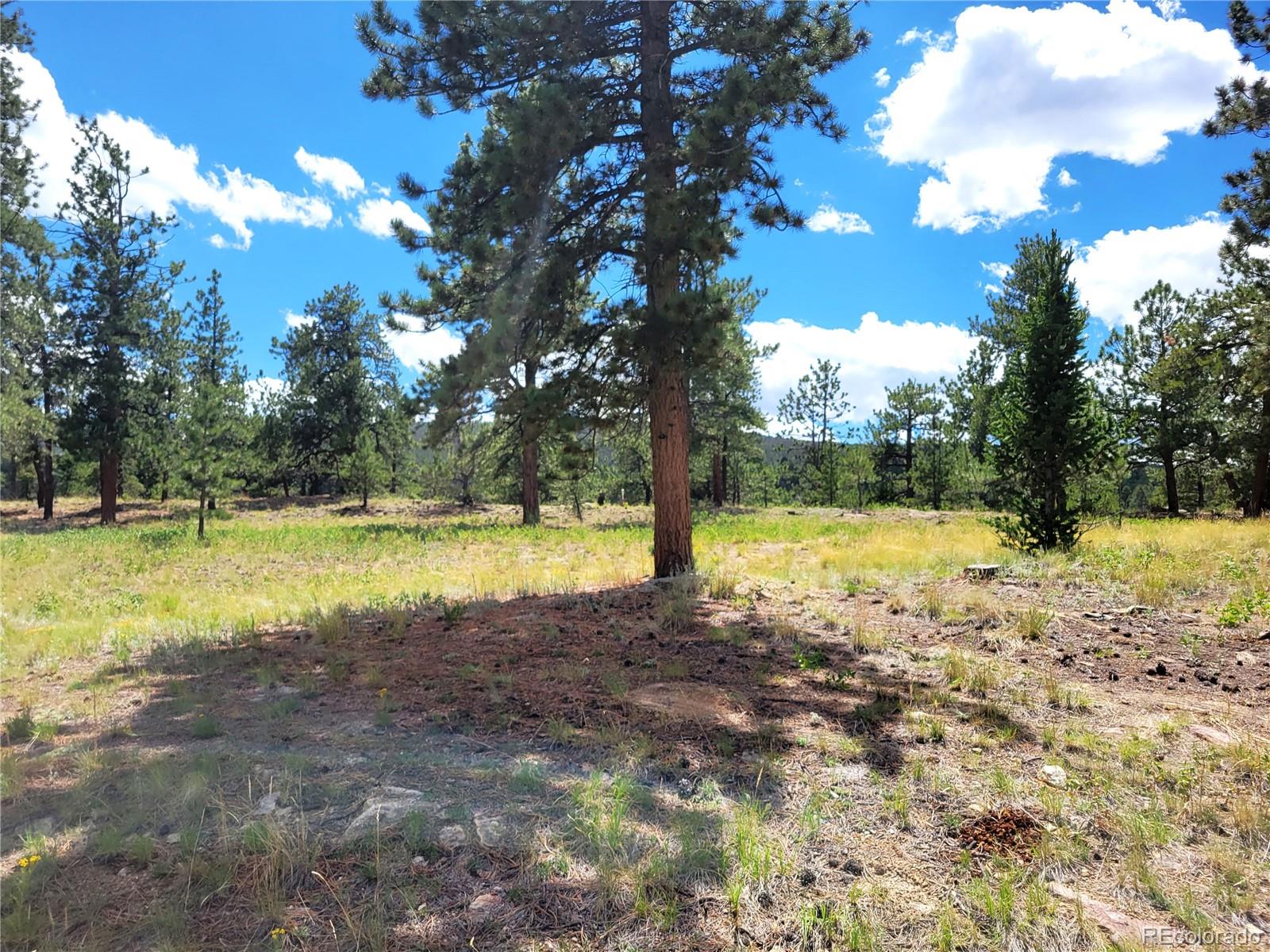 MLS Image #31 for 5076  campfire road,hartsel, Colorado