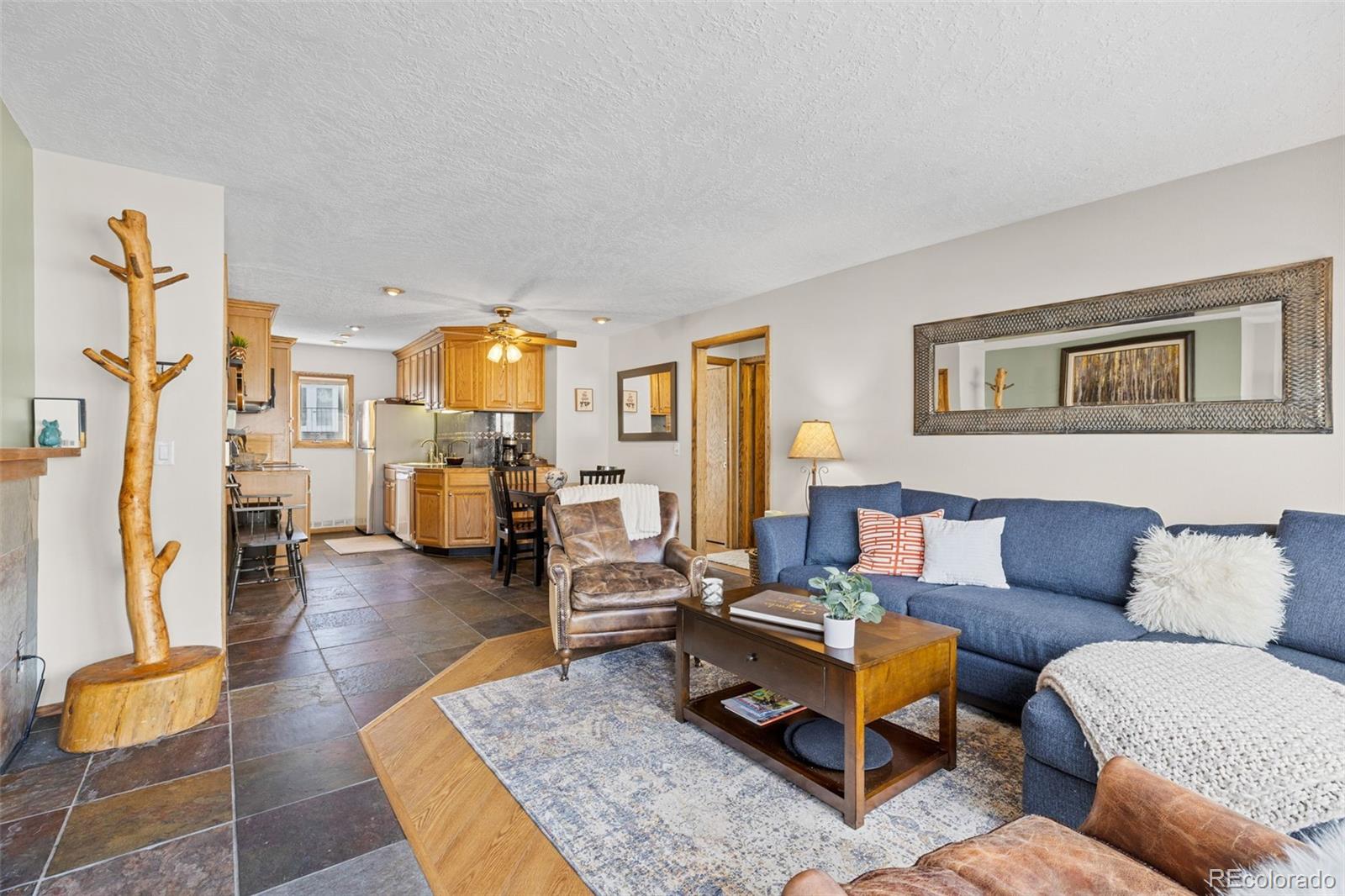 MLS Image #2 for 240 e la bonte street,dillon, Colorado