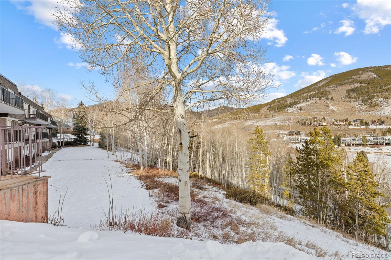MLS Image #31 for 240 e la bonte street,dillon, Colorado