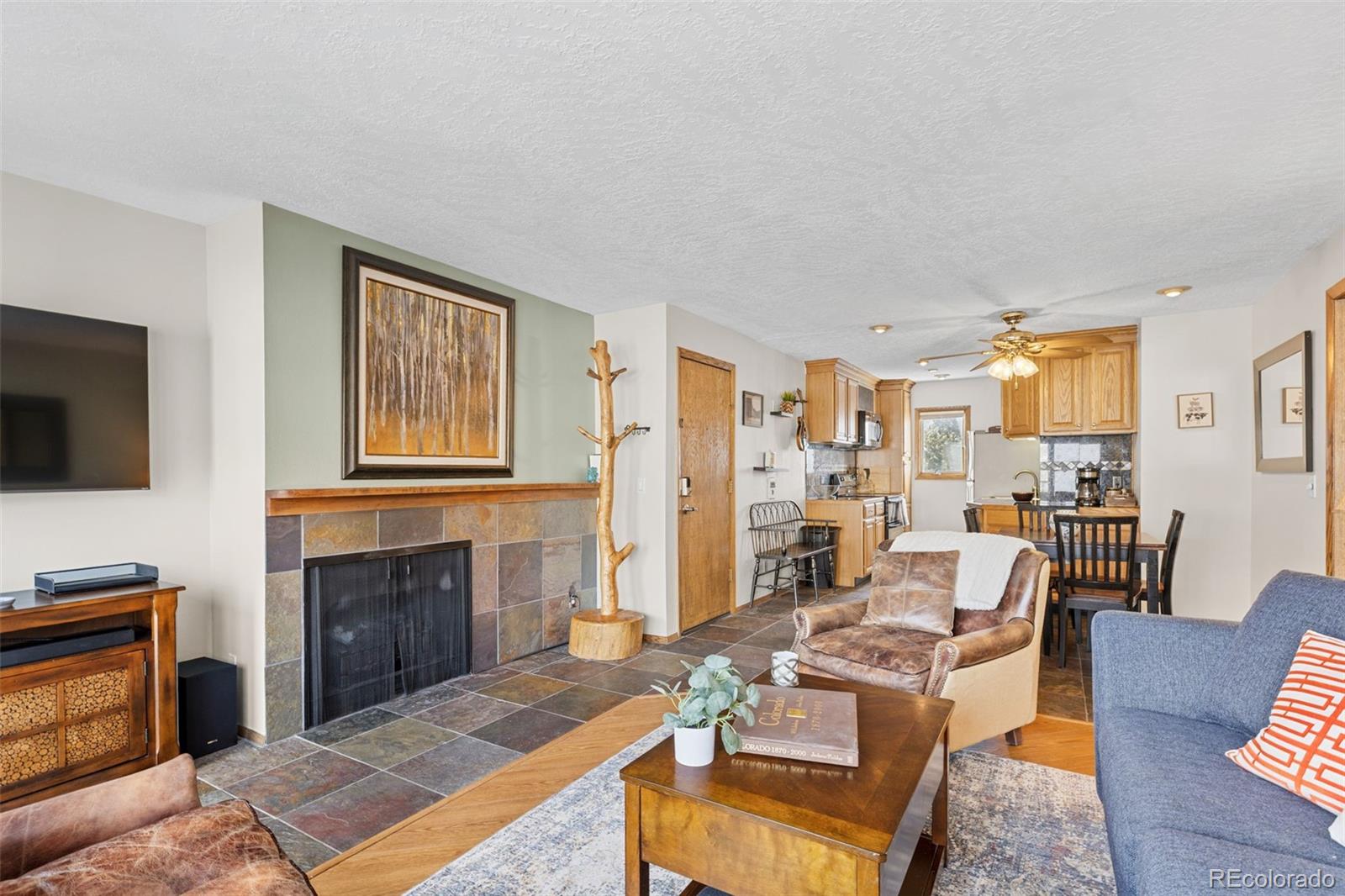 MLS Image #5 for 240 e la bonte street,dillon, Colorado