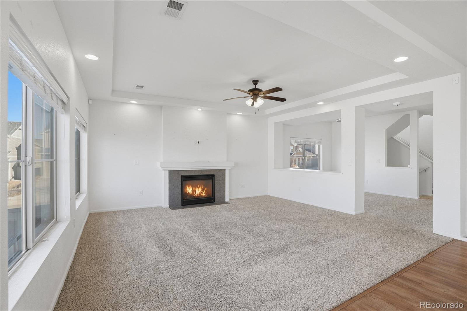 MLS Image #10 for 18199 e 44th avenue,denver, Colorado