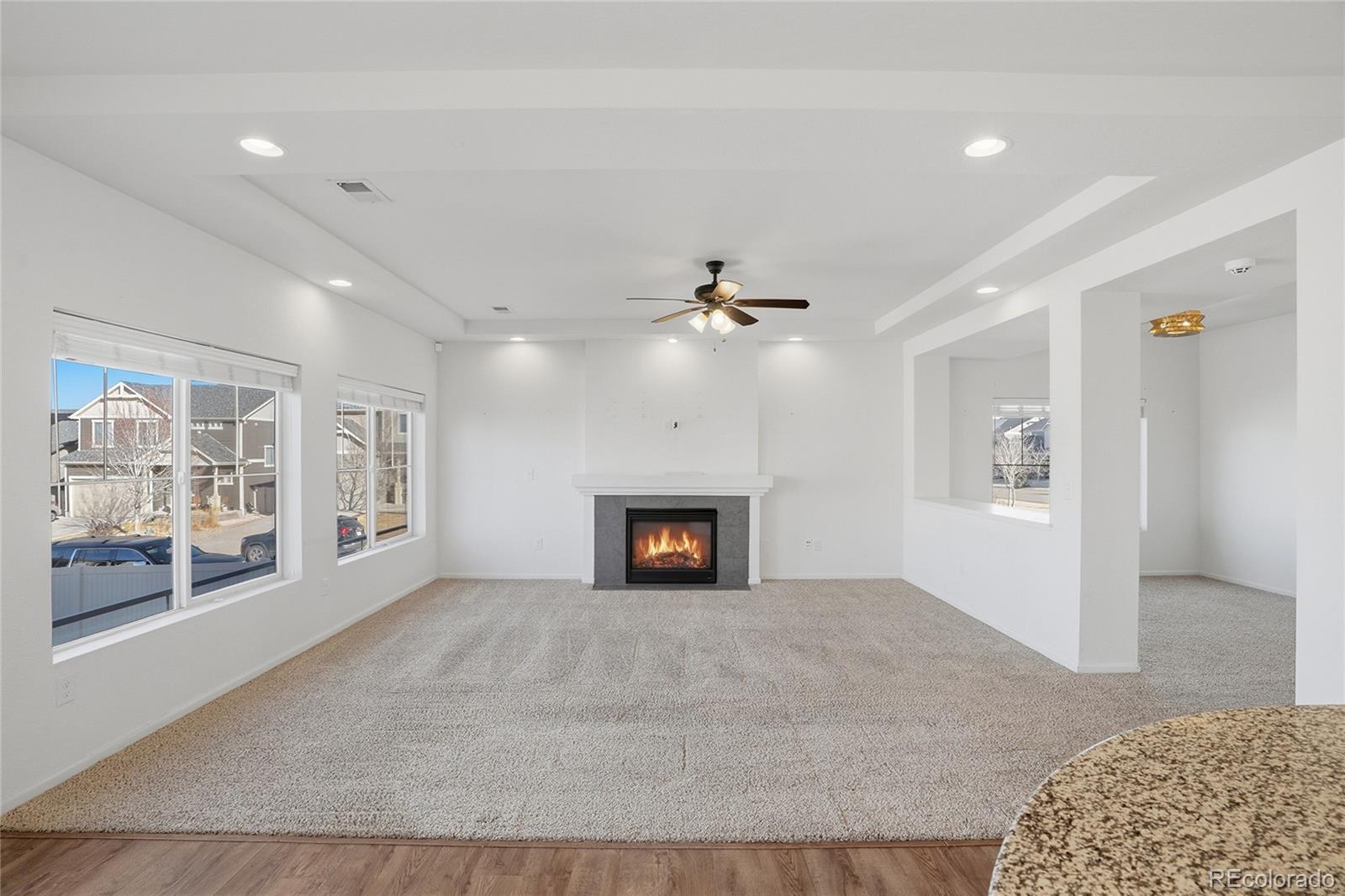 MLS Image #9 for 18199 e 44th avenue,denver, Colorado