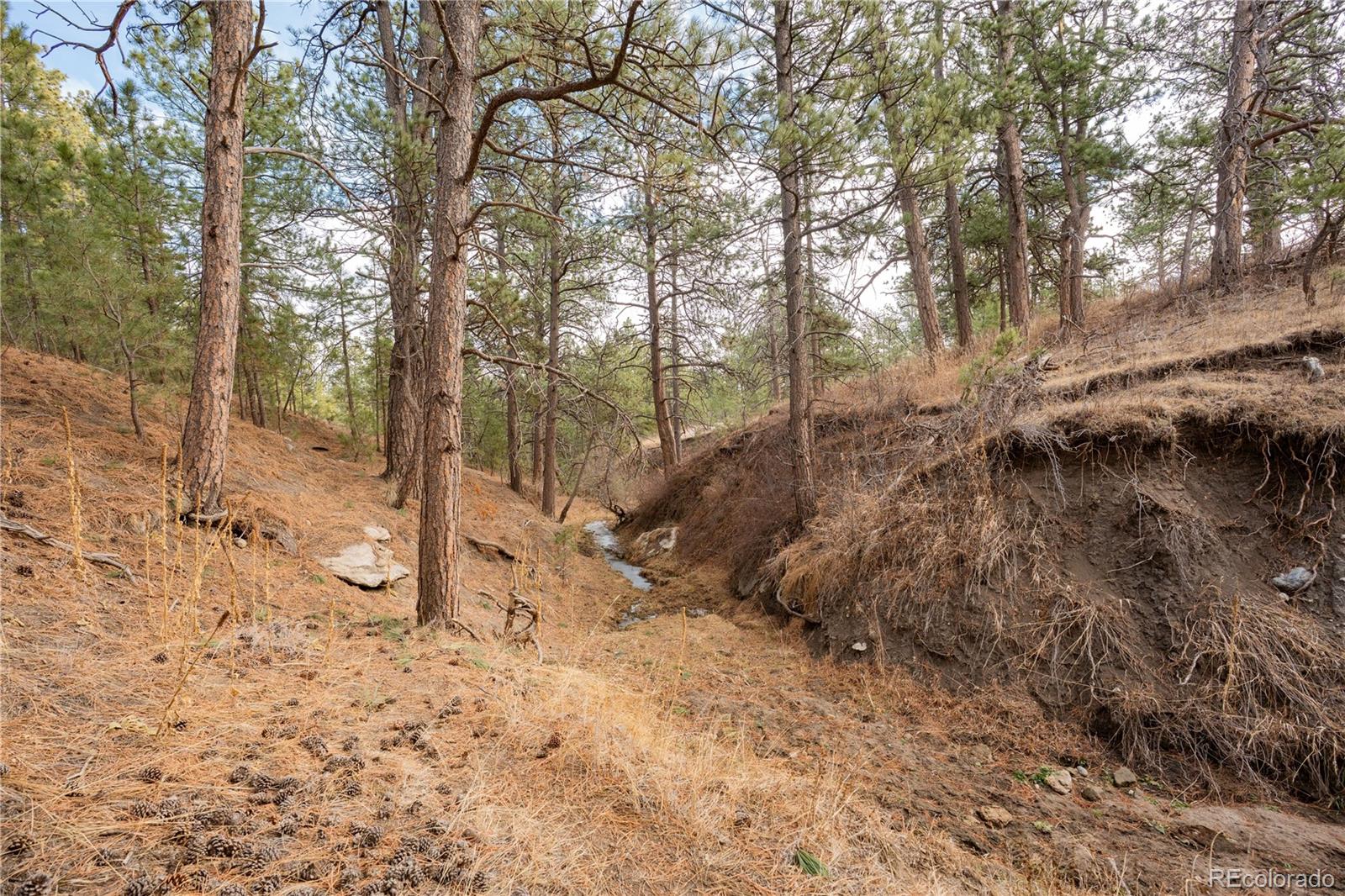 MLS Image #36 for 754  highway 86 ,elizabeth, Colorado